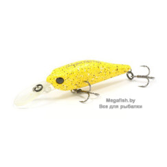 Pontoon21-Cheerful-40SP-MR-R41