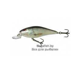 Salmo-Executor-09-RD