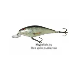 Salmo-Executor-09-RD