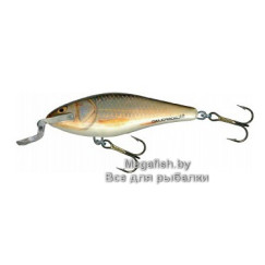 Salmo-Executor-12-RR