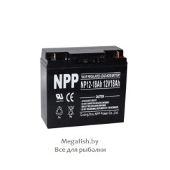 NP12