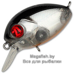 Pontoon21-Baby-Red-Rag-32F-SR-812