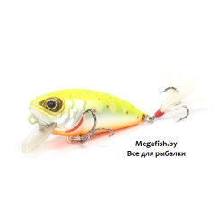 Strike-Pro-Stumpy-Fly-40-A190ES