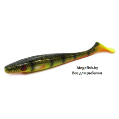 Strike-Pro-Giant-Pig-Shad-C664