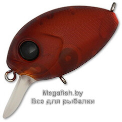Pontoon21-Baby-Red-Rag-32F-SR-R42