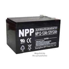 NP12