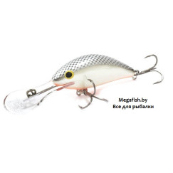 Salmo-Hornet-F06-GS