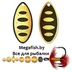 Blesna-Pontoon-21-Trait-NB04-001