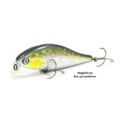 Pontoon21-Bet-A-Shad-75F-SR-R30
