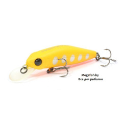 Pontoon21-CrackJack-48SP-MR-R43