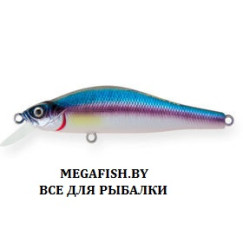 Archback-80-A210-SBO-RP