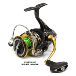 Daiwa-Exceler-17-LT-3000-C-XH