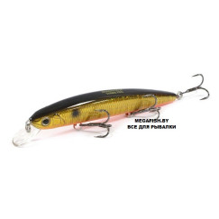 Strike-Pro-Montero-110SP-A70-613-SBO