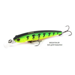 Fishycat-Bobcat-100SP