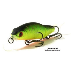 Tsuribito-Pike-Strike-88SP-028