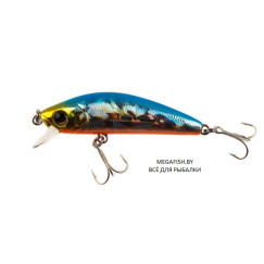 Yo-Zuri/Duel-L-Minnow-66S-HBSN