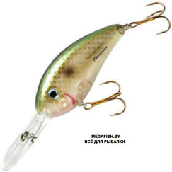 Bomber-Fat-Free-Shad-Jr.-BD6F-PSH