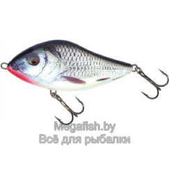 Salmo-Slider-S06-RGS