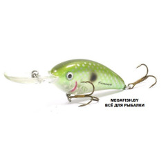 Bomber-Fat-Free-Shad-Jr.-BD6F-GGH