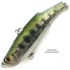 Bassday-Orc-Range-Vib-80ES-RD-158