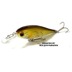 EverGreen-Bank-Shad-27