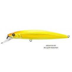 Pontoon21-Cablista-105SP-SMR-773