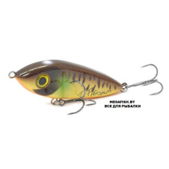 Abu-Garcia-McSnack-Sign-Tobias-Pro-Gille-Svartzonker