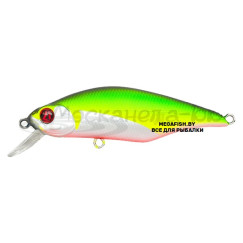Pontoon21-Chaos-72F-SR-R37