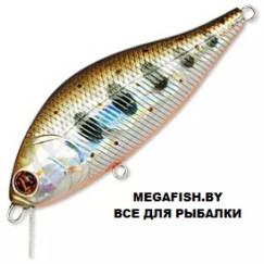 Pontoon21-Bet-A-Shad-75F-SR-050