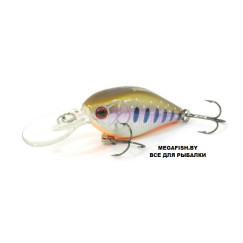 Cranky-X-Deep-50-A142-264