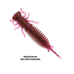 Fanatik-Larva-121