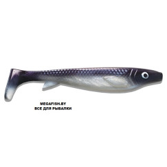 Kanalgratis-Fatnose-Shad-Coregonus