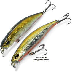 Kosadaka-Tide-Minnow-XS-GTR