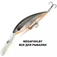 Hitfish-Balanar-308