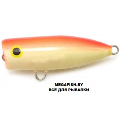 uzhgorodskiy-popper-11