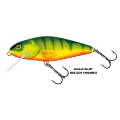 Salmo-Perch-HPH