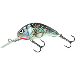 Salmo-HORNET-HGS