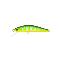 DUO-Grace-Minnow-Elena