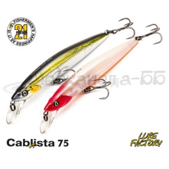 Pontoon21 Cablista 75