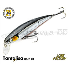 Pontoon21 Tantalisa 85