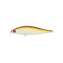 PONTOON-21-Bet-A-Minnow-317