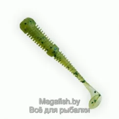 Fanatik-Boxer-2"-001