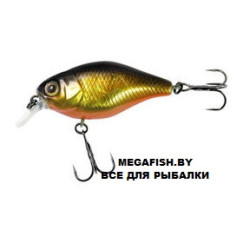 Jackall-10cc-hl-gold-&-black