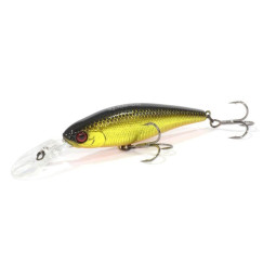 Jackall-Squad-Shad-HL-Gold-&-Black