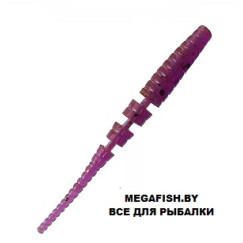 Crazy-Fish-Polaris-12