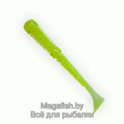 Fanatik-Boxer-024