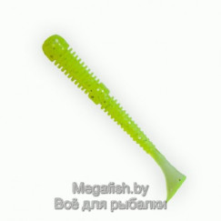 Fanatik-Boxer-024