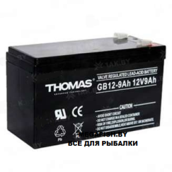 Аккумулятор THOMAS для ИБП, детского электромобиля, эхолота (9 Ah,12 V) AGM 151х65х94/100 2.25 кг