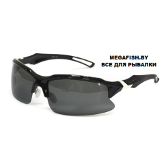 Очки Tagrider N12-2 Gray