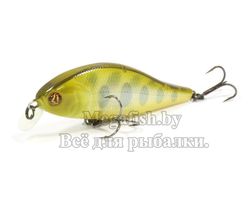 Pontoon21-Bet-A-Shad-75SP-SR-351